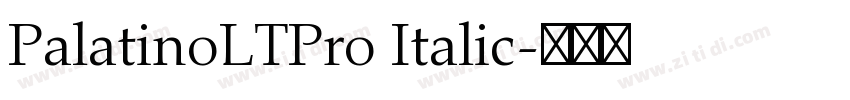 PalatinoLTPro Italic字体转换